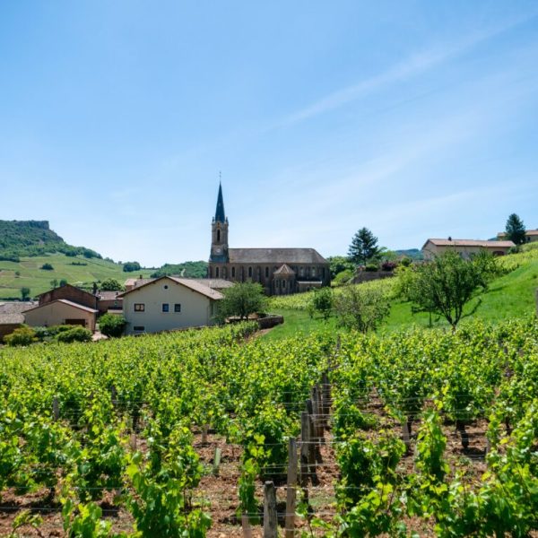 Burgandy wine region